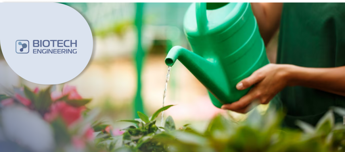 каналізаційні очисні споруди